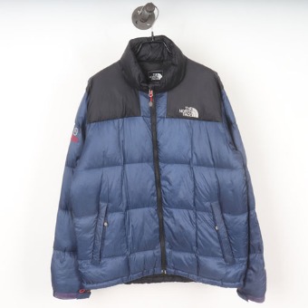 THE NORTH FACE 구스다운 패딩